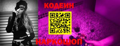 Альфа ПВП Гатчина