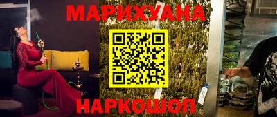 Альфа ПВП Гатчина