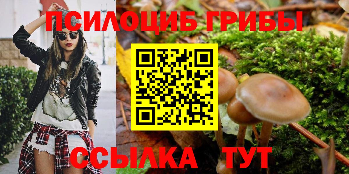 Мичуринск  Галлюциногенные грибы мицелий  Вход с VPN 