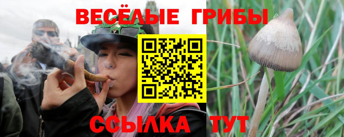 Галлюциногенные грибы прущие грибы Мичуринск